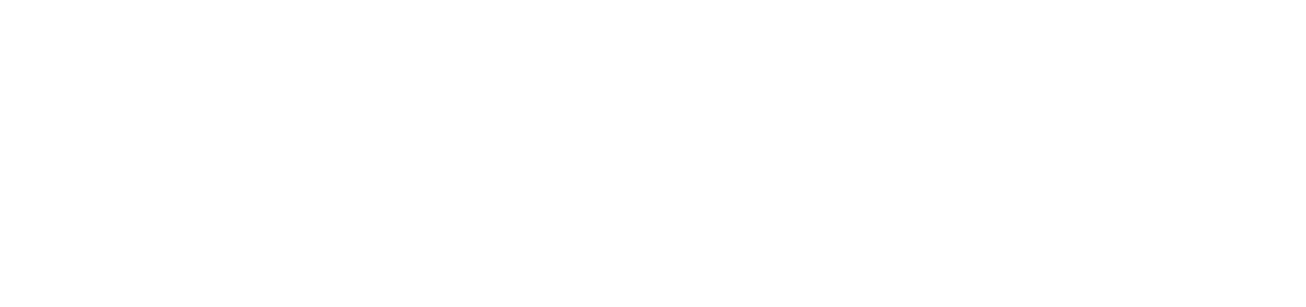 Skwiz